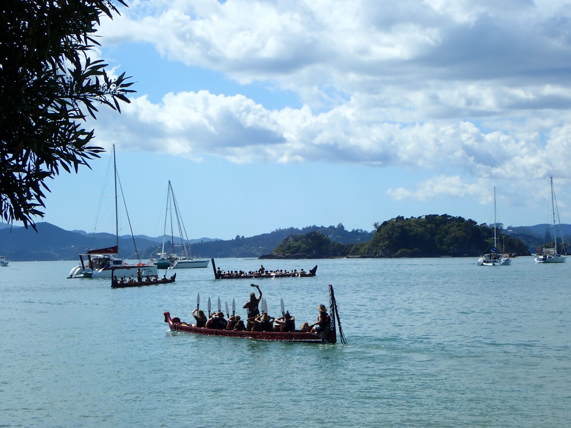 Waka lors du Waitangi Day en Nouvelle Zélande