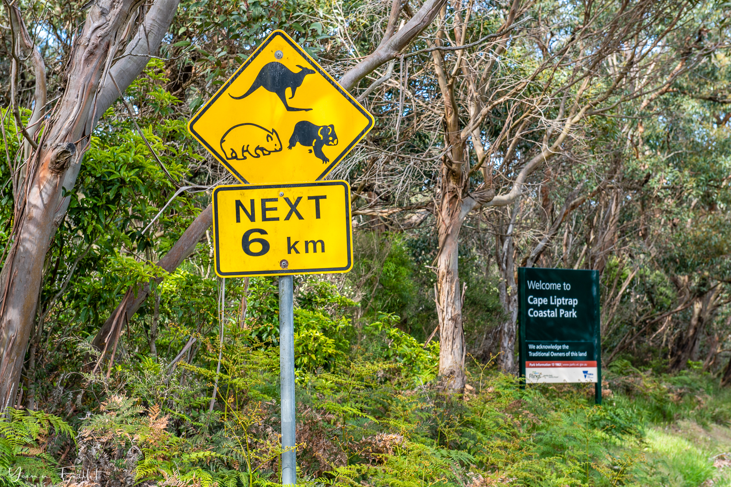 Cape Liptrap Coastal Park, Australie.